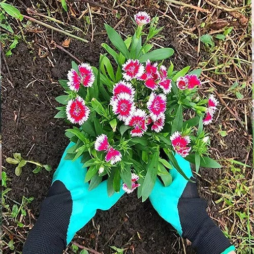 Guantes de Jardinería con Garras