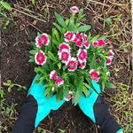 Guantes de Jardinería con Garras