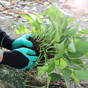 Guantes de Jardinería con Garras